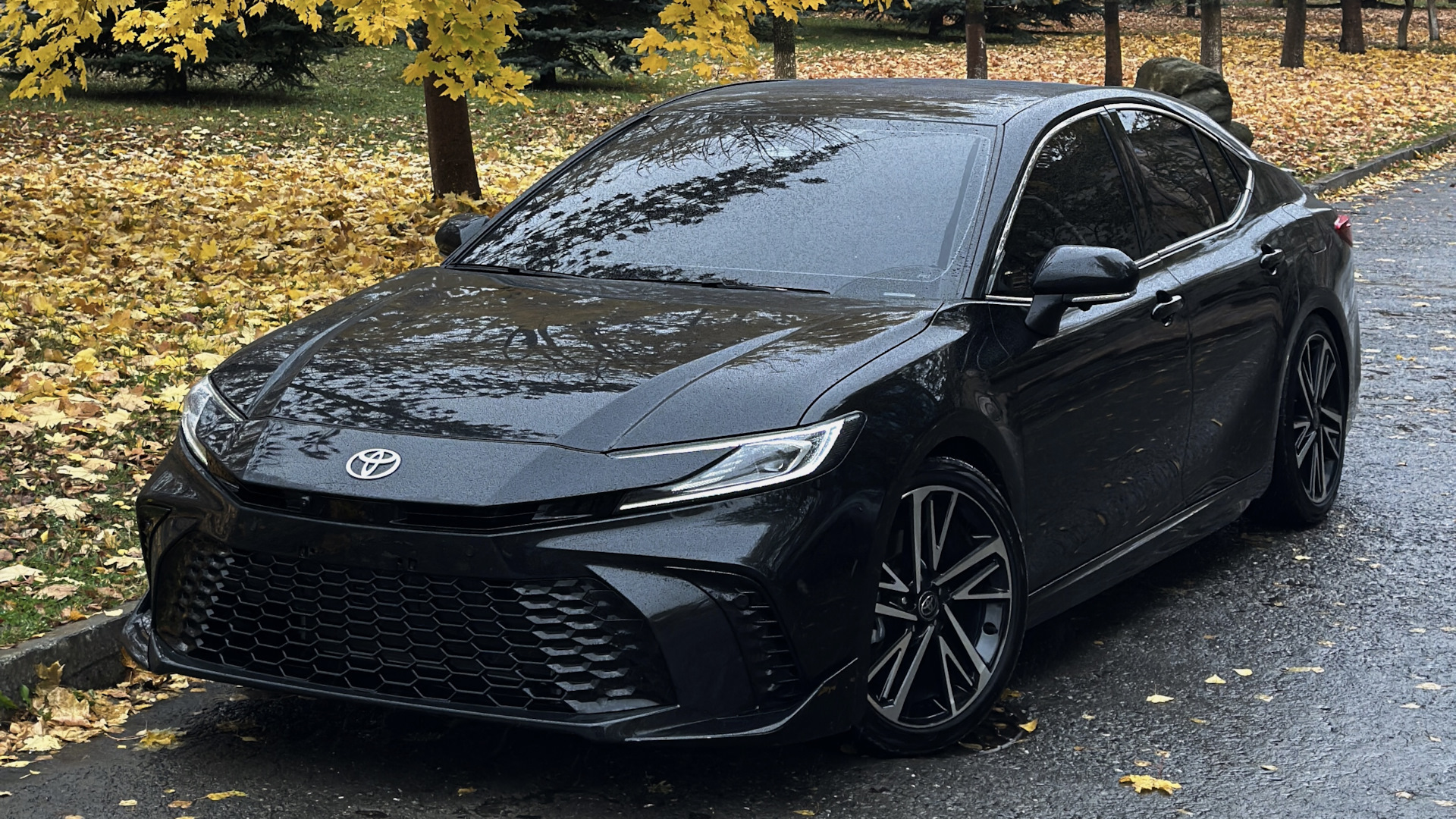Toyota Camry 80 (2024)
